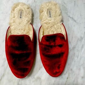 Birdies The phoebe slides